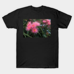 Corymbia ficifolia T-Shirt